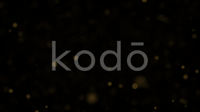 NYE BALL DROP @KODO